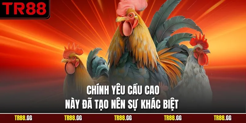 Chính yêu cầu cao này đã tạo nên sự khác biệt