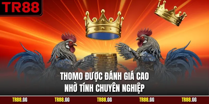 Thomo được đánh giá cao nhờ tính chuyên nghiệp