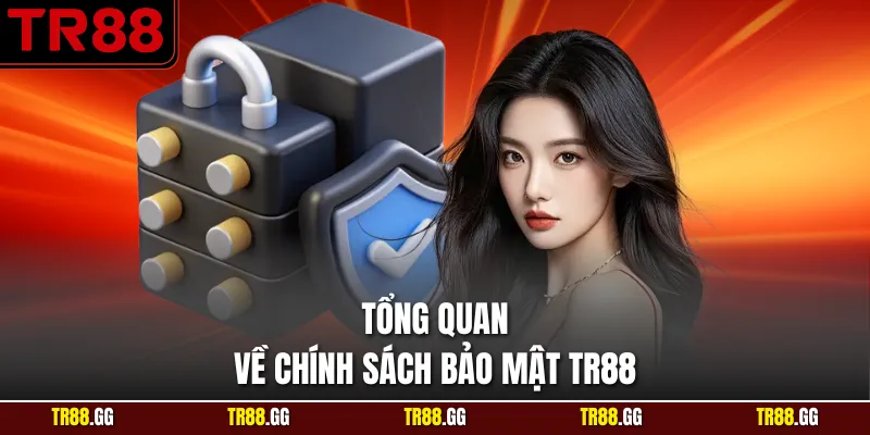  Tổng quan về Chính Sách Bảo Mật TR88