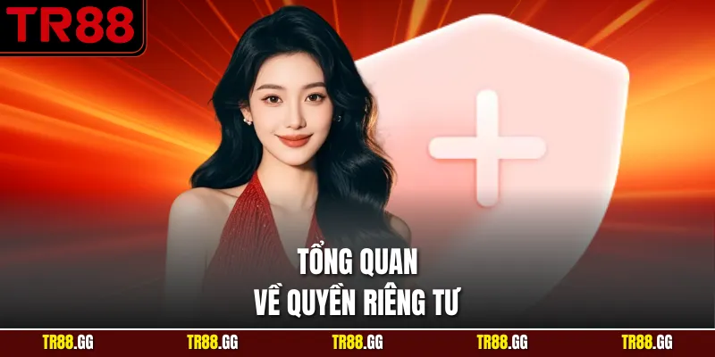 Tổng quan về Quyền Riêng Tư